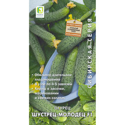 ���������� ������ �������-������� F1 (��������� �����)  