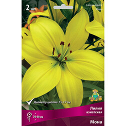 ���������� ����� ��������� ���� (2 ��.)  