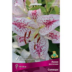 ���������� ����� ��������� ������ (2 ��.)  