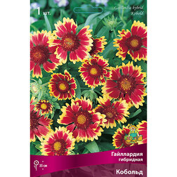 ���������� ���������� ��������� �������  