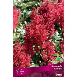 ���������� �������� ������� ����  