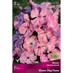 ���������� ����� ����������� ���� ��� ����  