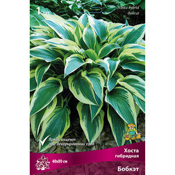 ���������� ����� ��������� ������  