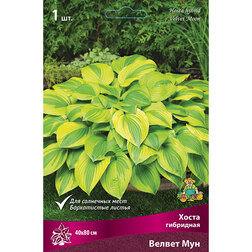 ���������� ����� ��������� ������ ���  