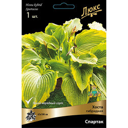 ���������� ����� ��������� ������� *  