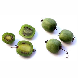 ���������� ��������� ��������� ��������� (�������)  