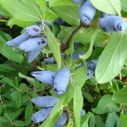 ���������� ��������� ��������� ��������  