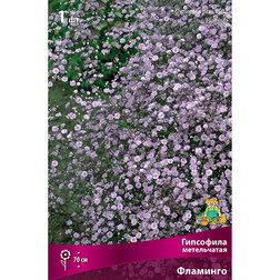 ���������� ��������� ����������� ��������  