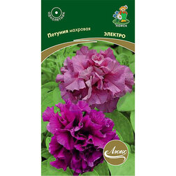 ���������� ������� �������� ������� (���� ������. �� ����� 2024 �)  