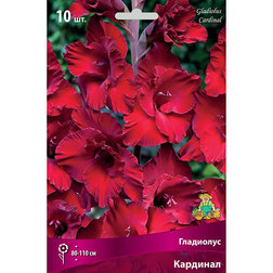 ���������� ��������� ��������  