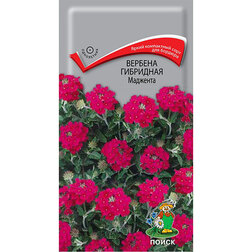 ���������� ������� ��������� ��������  