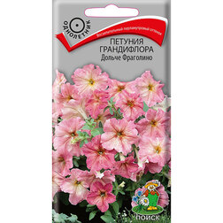 ���������� ������� ����������� ������ ��������� (���� ������. �� ����� 2024 �)  