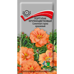 ���������� �������� ��������������� ��������� ������ ���������  