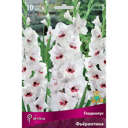 ���������� ��������� ���������� (10��)  