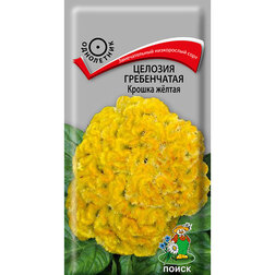 ���������� ������� ����������� ������ ����� (���� ������. �� ����� 2024 �)  