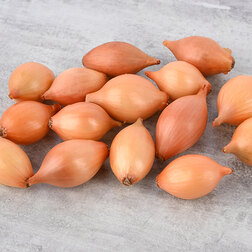 ���������� ���-����� ������ (��-0,5��)  