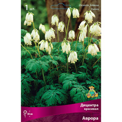 ���������� �������� �������� ������  