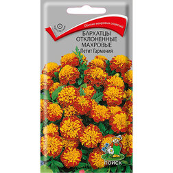 ���������� �������� ����������� �������� ����� ��������  