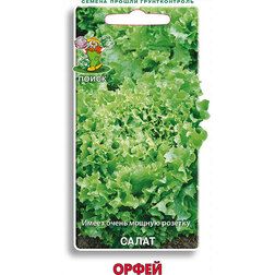 ���������� ����� �����  