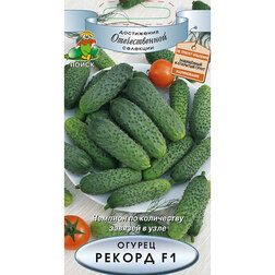 ���������� ������ ������ F1  