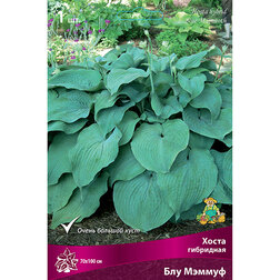 ���������� ����� ��������� ��� ������  