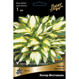 ���������� ����� ��������� ����� ���������  