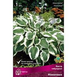 ���������� ����� ��������� ��������  