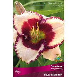 ���������� �������� ��������� ���� ������  