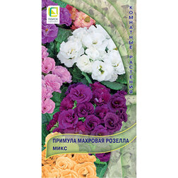 ���������� ������� �������� ������� ����  
