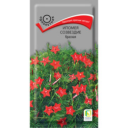 ���������� ������ ��������� �������  