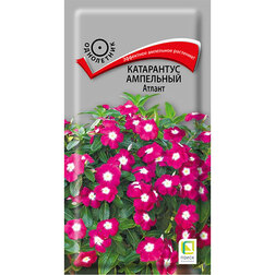 ���������� ���������� ��������� ������  