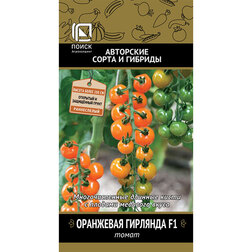 ���������� ����� ��������� �������� F1  