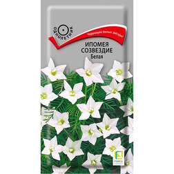 ���������� ������ ��������� �����  