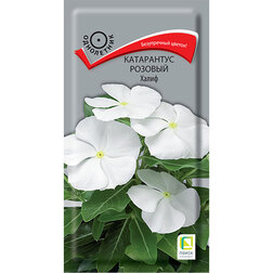 ���������� ���������� ������� �����  