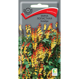 ���������� ���� ��������� �������  