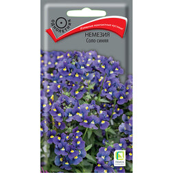 ���������� ������� ���� �����  