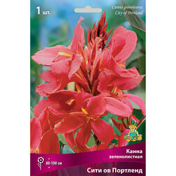 ���������� ����� ������������� ���� �� ��������  