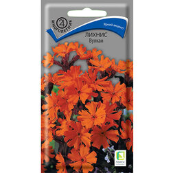 ���������� ������ ������  