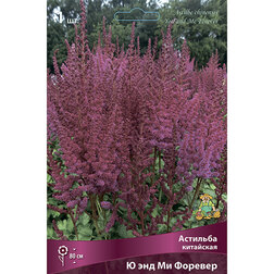 ���������� �������� ��������� � ��� �� �������  