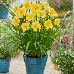 ���������� �������� ��������� ������������ ���� (������� ��� �����!)  