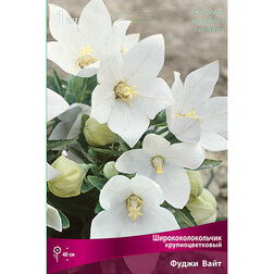 ���������� ����������������� ��������������� ����� ����  