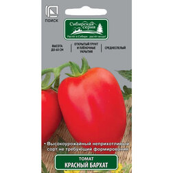 ���������� ����� ������� ������ (��������� �����)  