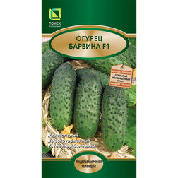 ���������� ������ ������� F1  