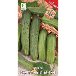 ���������� ������ �������� ����  