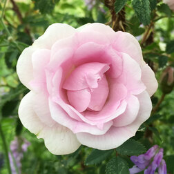 ���������� ���� ��������� �������� �������  