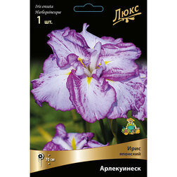 ���������� ���� �������� �����������  