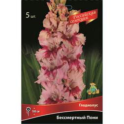 ���������� ��������� ����������� ���� (5��.)  