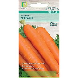 ���������� ������� (�����) ������ (300��.)  