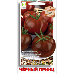 ���������� ����� ������ �����  