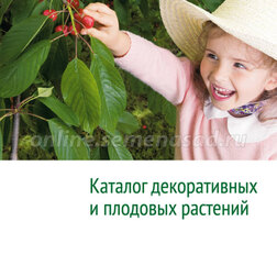 ���������� ������� ������������ � �������� �������� (onlinesemena.ru)  